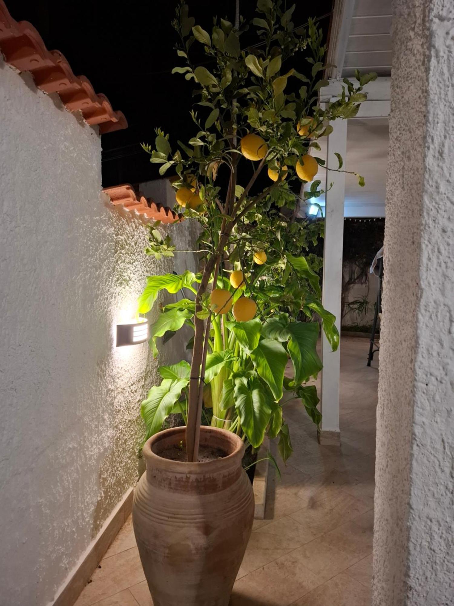 Toluammare Sicily Villa Santa Maria Del Focallo Kültér fotó